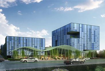 竹行業研究報告-竹行業分析報告-竹市場調研報告