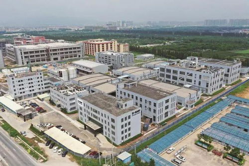 立足灣區(qū) 攜手歐洲 走向世界 江門塑造國際經(jīng)貿(mào)合作新優(yōu)勢