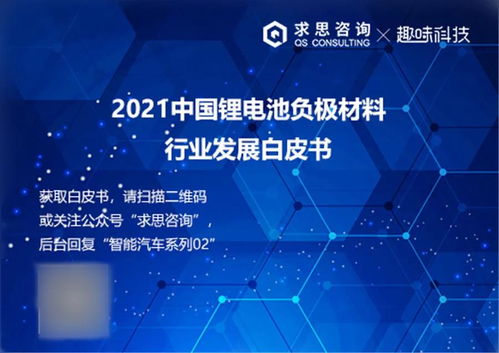 鋰電池負(fù)極材料白皮書(shū) 技術(shù)咨詢與市場(chǎng)前景